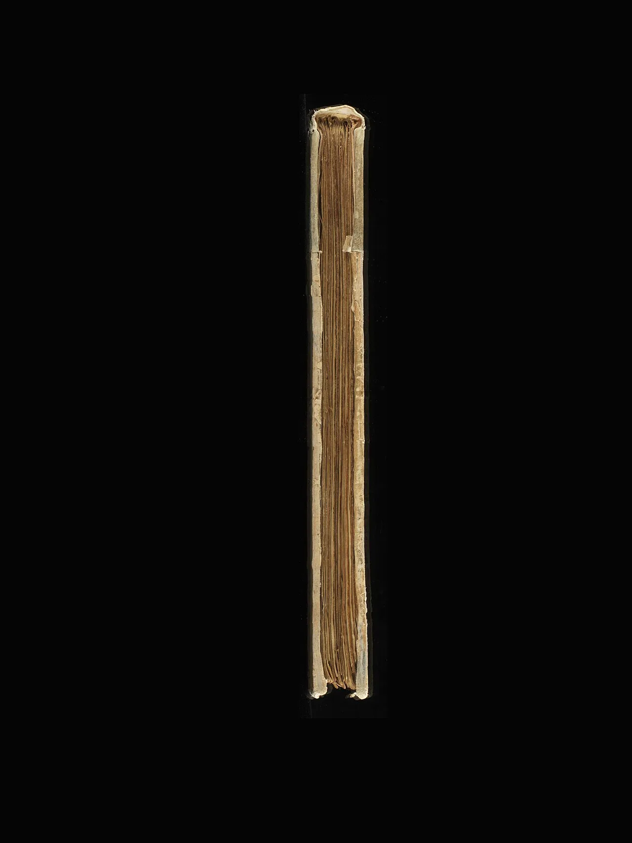 Nonius (device)